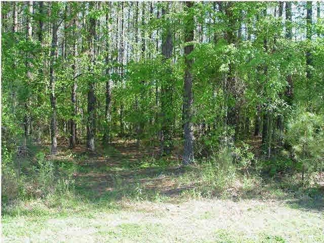 146 Bridgewater Crossing, Unit 214 Ridgeland, MS 39157 - Photo 1 of 2 Photo 1