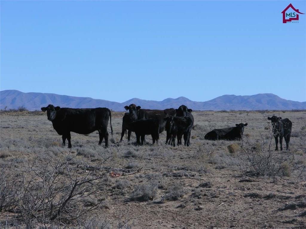 736 Upham Road Elephant Butte, NM 87935 - Photo 2 of 27