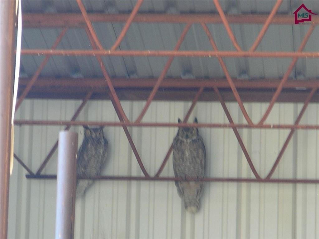 736 Upham Road Elephant Butte, NM 87935 - Photo 23 of 27 a view of small space