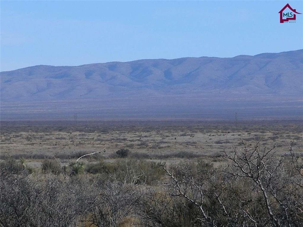 736 Upham Road Elephant Butte, NM 87935 - Photo 5 of 27 a view of a dry yard with mountains in the background