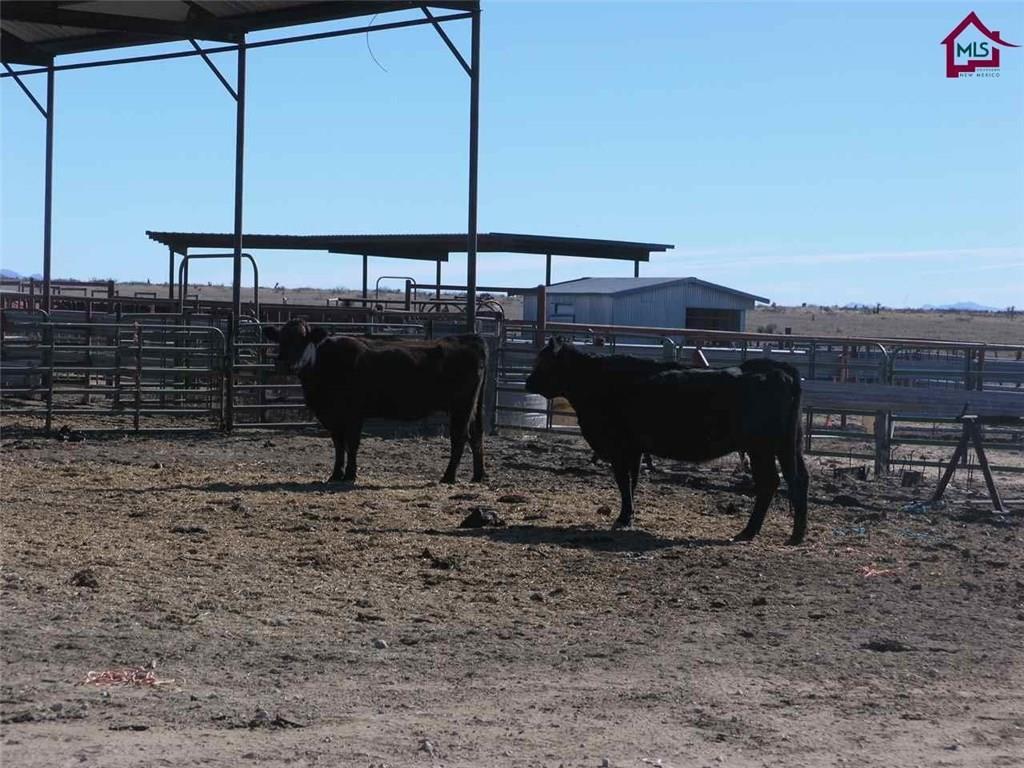736 Upham Road Elephant Butte, NM 87935 - Photo 9 of 27 a view of a terrace with chairs
