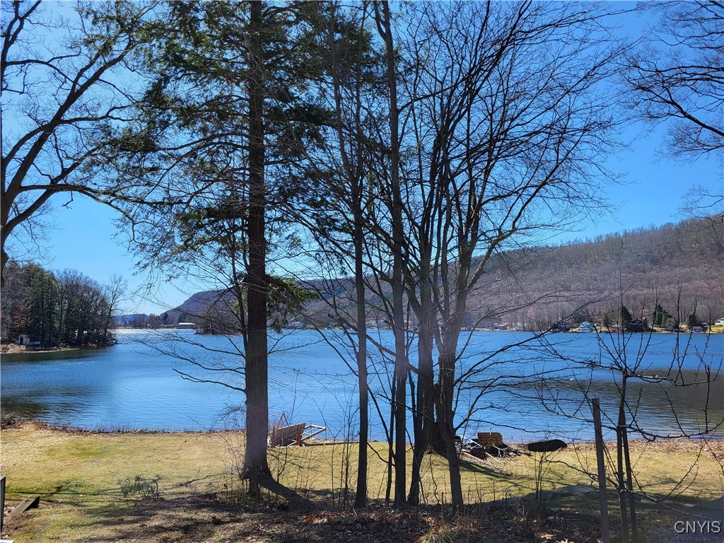 1935 Rittenhouse Square Preble, NY 13159 - Photo 17 of 17 Beautiful in all 4 seasons!