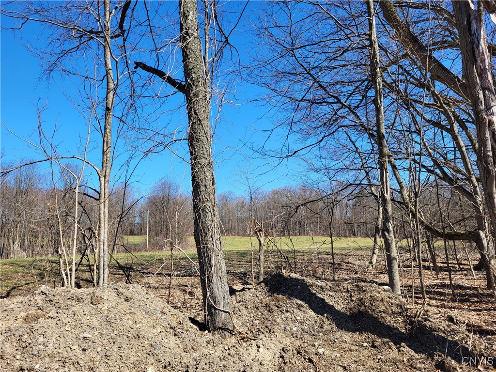 1935 Rittenhouse Square Preble, NY 13159 - Photo 4 of 17 View from the back of the home