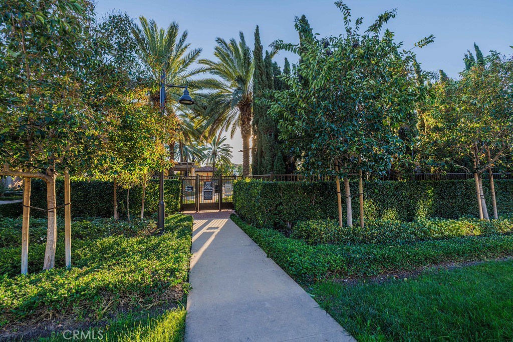 125 Waterleaf Irvine, CA 92620 - Photo 20 of 20 a front view of a house with a yard and potted plants