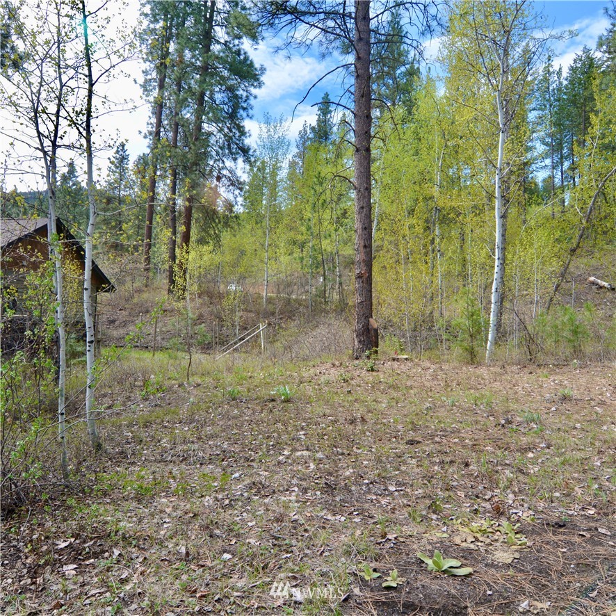 8 Mugo Road Winthrop, WA 98862 - Photo 22 of 24 Gallery Image 22