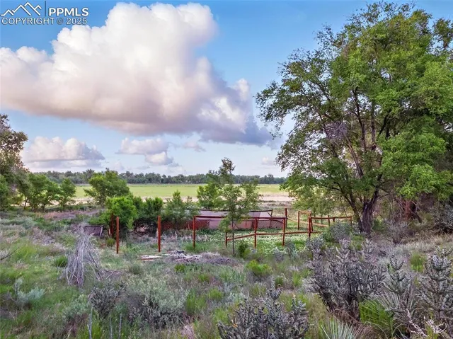 a view of a city with lush green forest