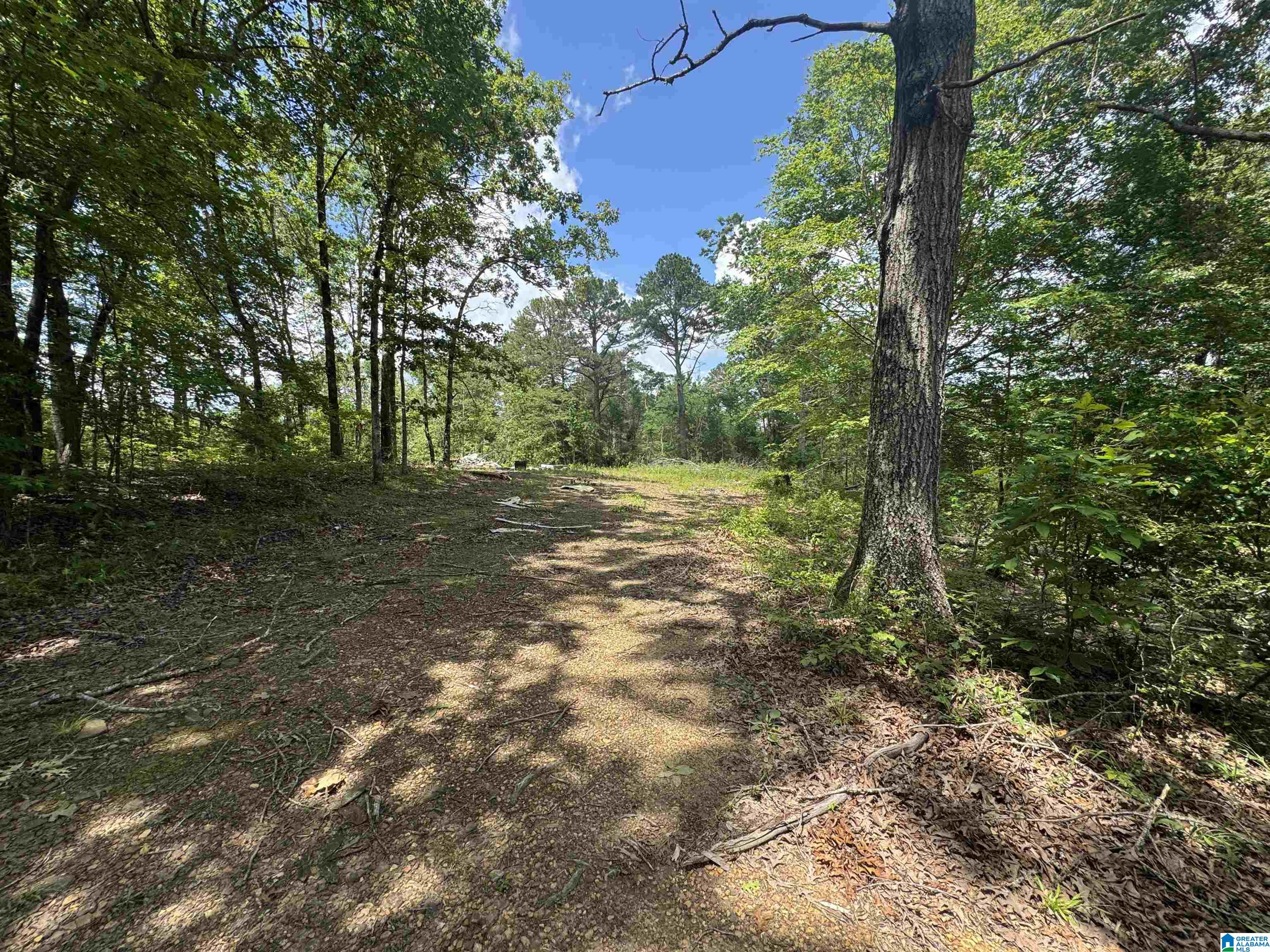 16473 Highway 19 Hamilton, AL 35570 - Photo 5 of 5