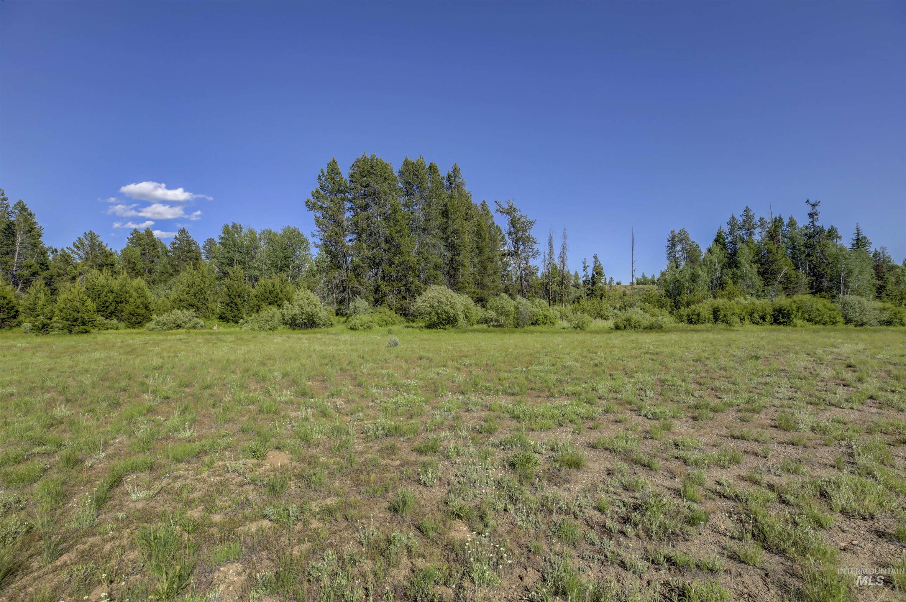 64 River Run Court McCall, ID 83638 - Photo 7 of 7 View of local wilderness featuring rural landscape