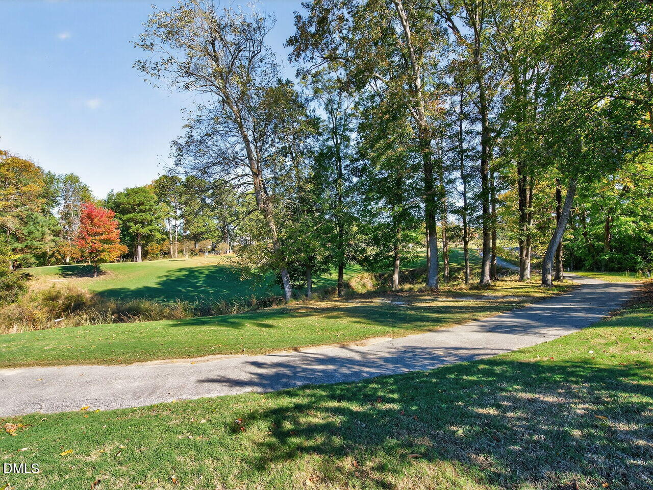 260 Marcellus Way Clayton, NC 27527 - Photo 37 of 47 a view of yard with swimming pool and green space