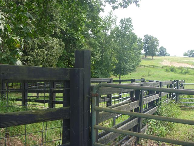 908 Bowling Branch Road Cottontown, TN 37048 - Photo 8 of 20 Gallery Image 8