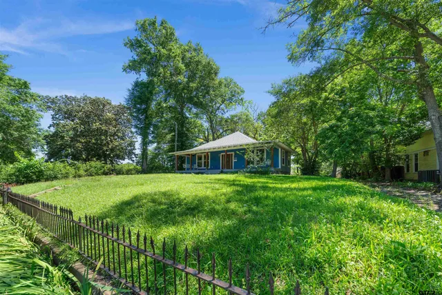 a view of a big yard with plants and large trees