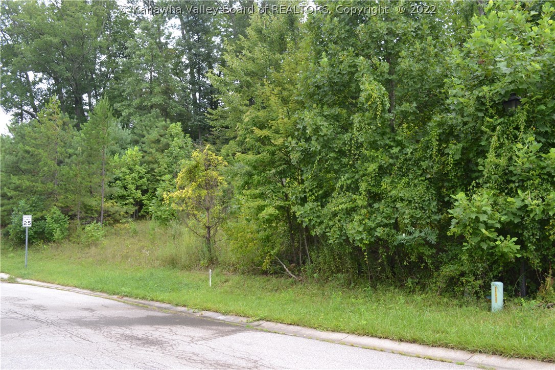 0 Salem Road Charleston, WV 25314 - Photo 1 of 9 Gallery Image 1