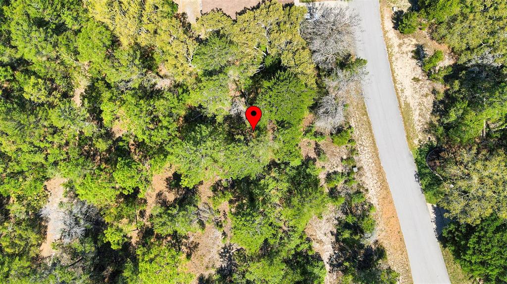 14 Heuchera Court East Homosassa, FL 34446 - Photo 1 of 23