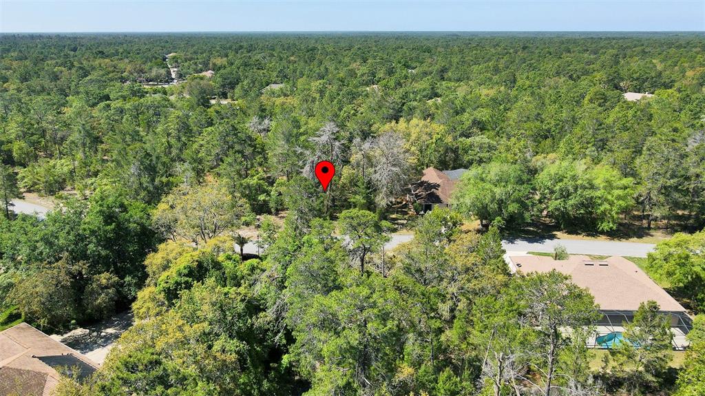 14 Heuchera Court East Homosassa, FL 34446 - Photo 11 of 23 a view of a bunch of trees and bushes