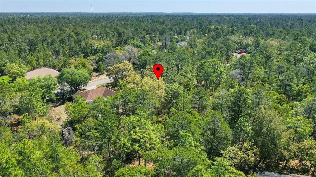 14 Heuchera Court East Homosassa, FL 34446 - Photo 14 of 23 a view of a outdoor space and a yard