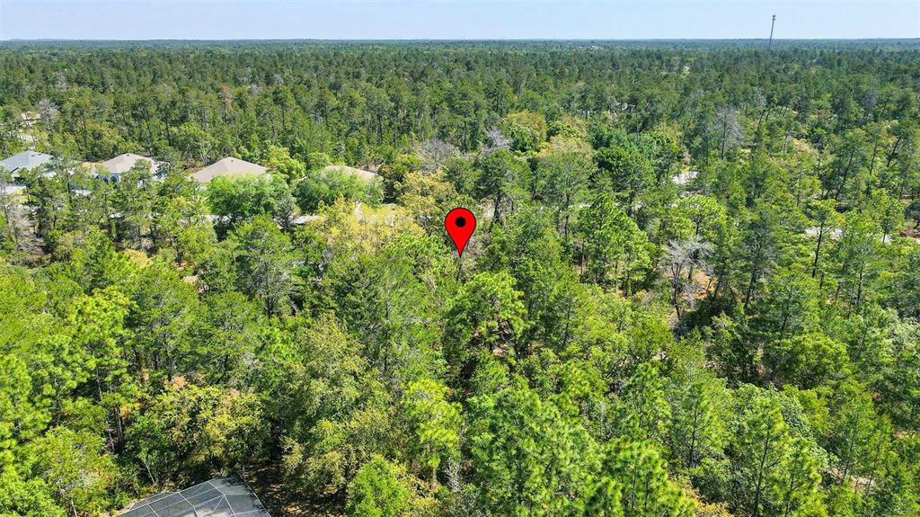 14 Heuchera Court East Homosassa, FL 34446 - Photo 15 of 23 a view of a forest with a houses