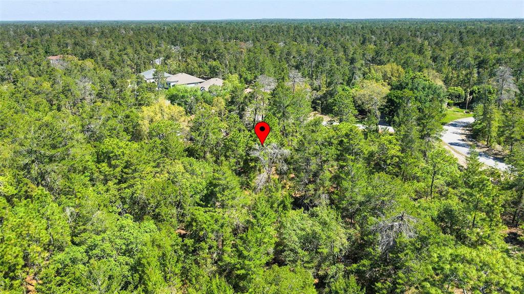 14 Heuchera Court East Homosassa, FL 34446 - Photo 16 of 23 a view of a houses with a lush green forest
