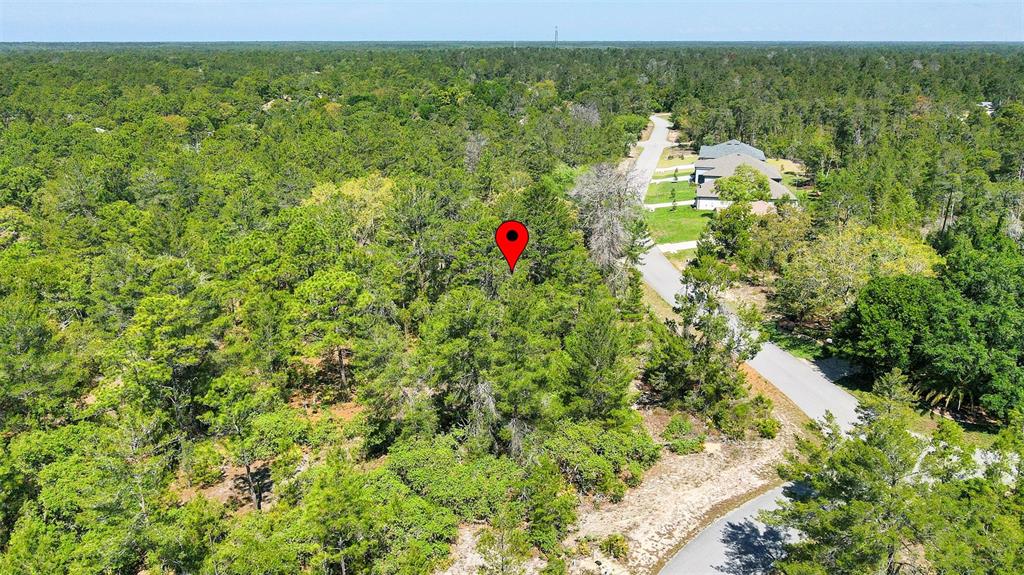 14 Heuchera Court East Homosassa, FL 34446 - Photo 17 of 23 a view of outdoor space and garden