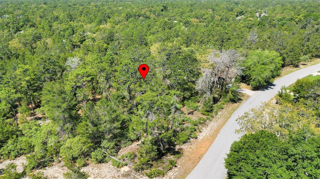 14 Heuchera Court East Homosassa, FL 34446 - Photo 18 of 23 a view of a tree with a yard