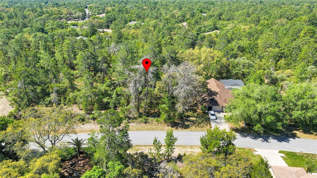 14 Heuchera Court East Homosassa, FL 34446 - Photo 19 of 23 a view of a house with a yard and sitting area