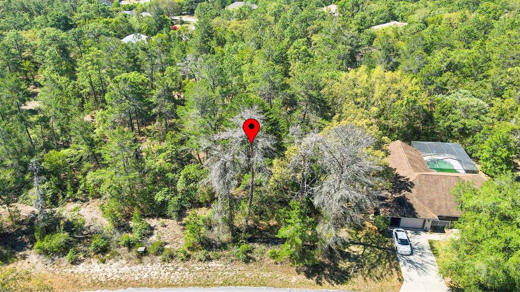 14 Heuchera Court East Homosassa, FL 34446 - Photo 20 of 23 a view of entryway