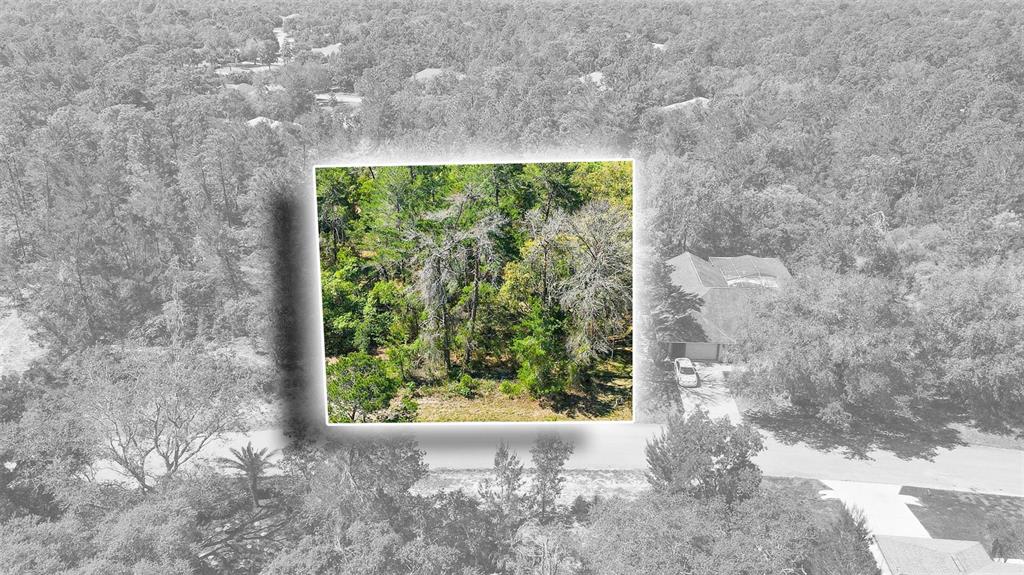 14 Heuchera Court East Homosassa, FL 34446 - Photo 2 of 23 a picture of a yard with an outdoor space