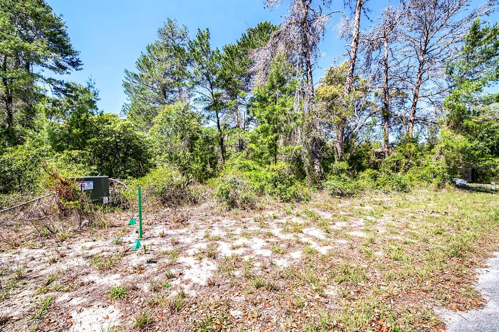 14 Heuchera Court East Homosassa, FL 34446 - Photo 3 of 23 a backyard of a house with table and chairs