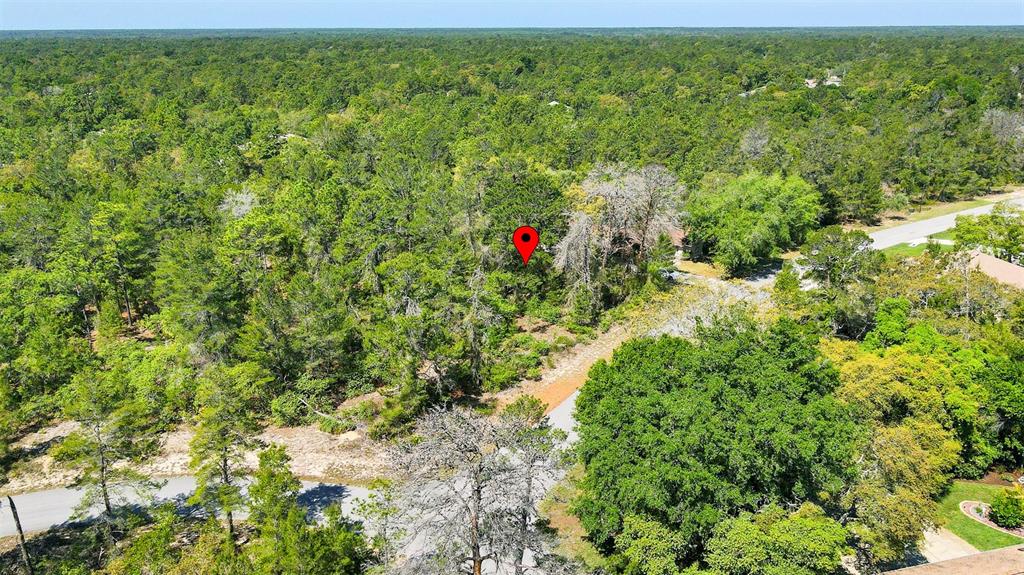 14 Heuchera Court East Homosassa, FL 34446 - Photo 9 of 23 a view of outdoor space and yard