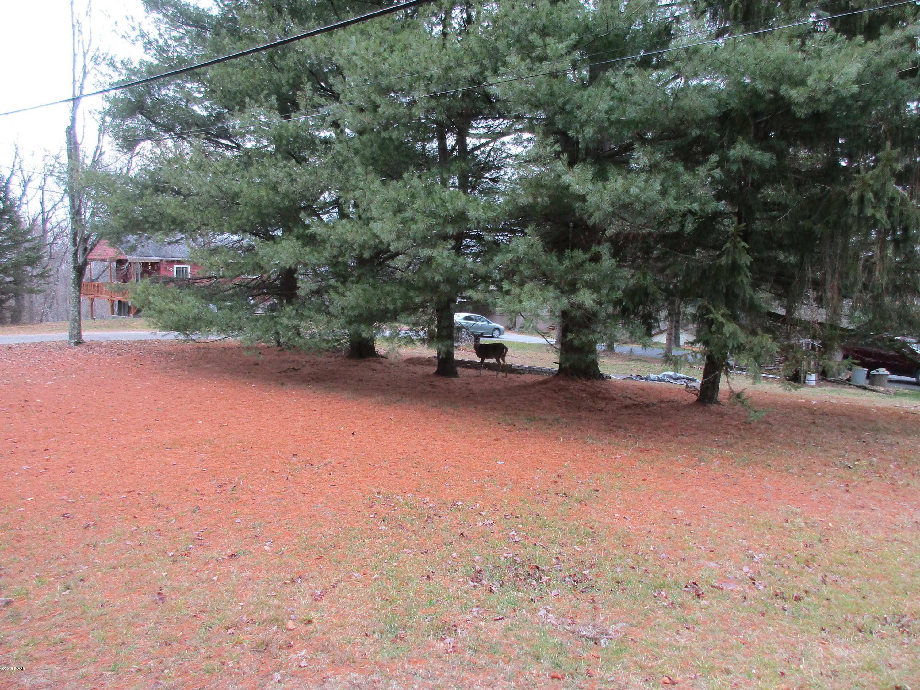 19 Alpine Rd Beach Lake Beach Lake, PA 18405 - Photo 28 of 40