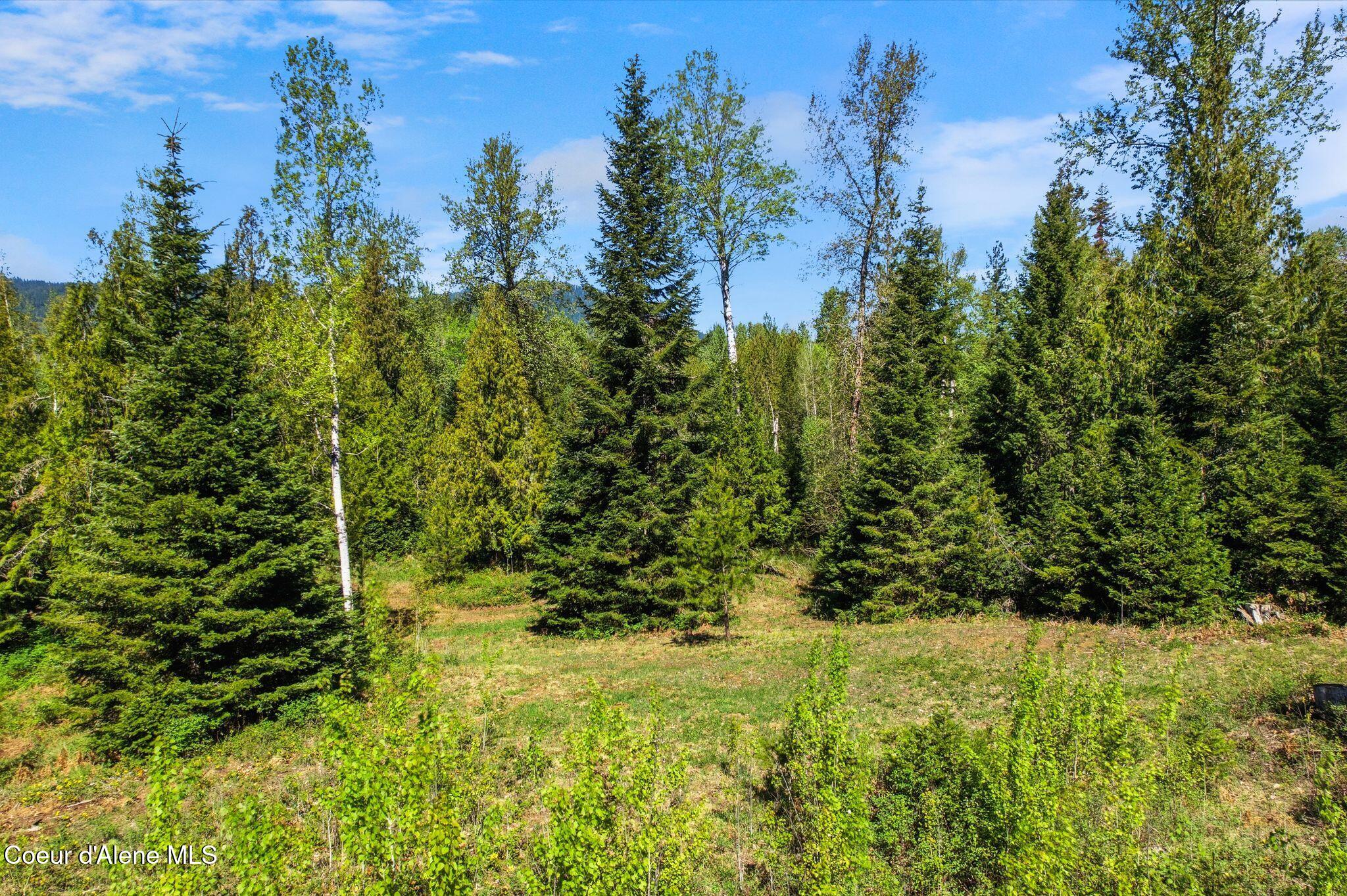 Whitetail Farm Lane Sandpoint, ID 83864 - Photo 9 of 10 13_DJI_0561