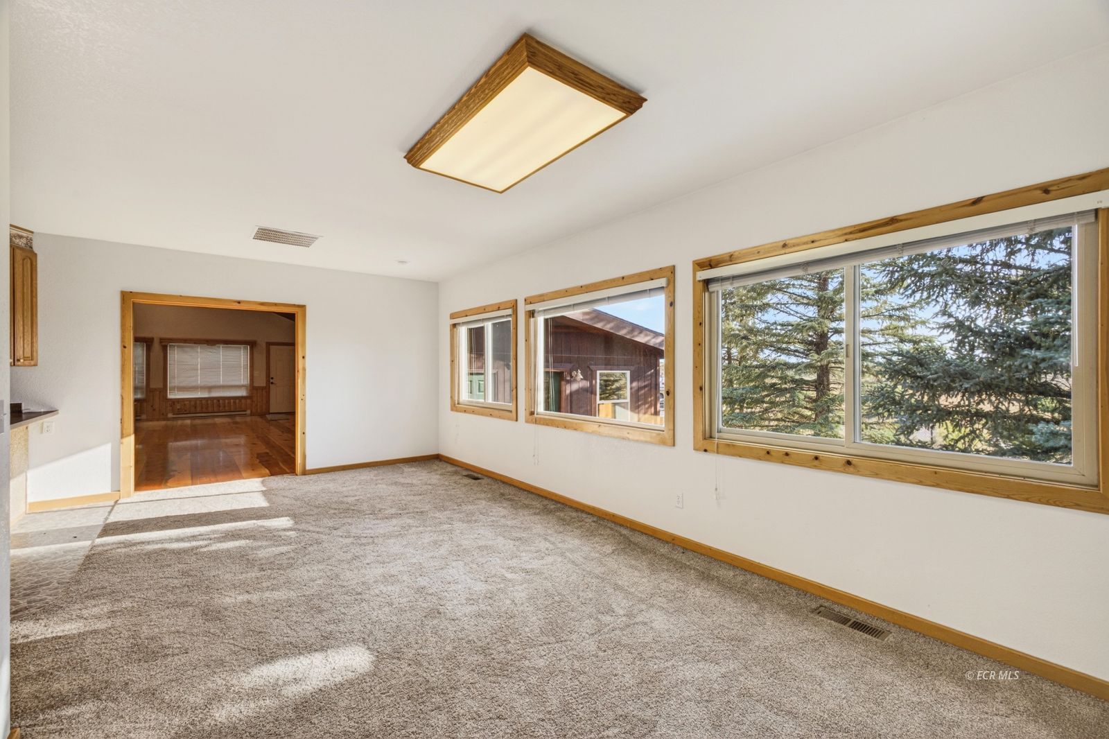 2611 North Canyon Road Lamoille, NV 89828 - Photo 9 of 50