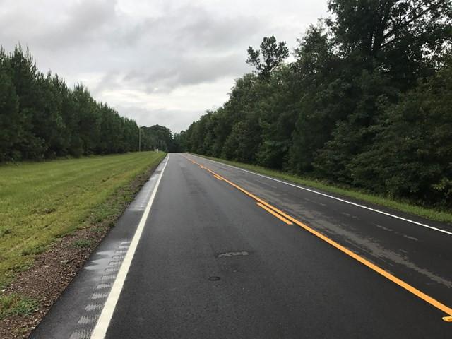 0 Surrey Race Road Salley, SC 29137 - Photo 14 of 14