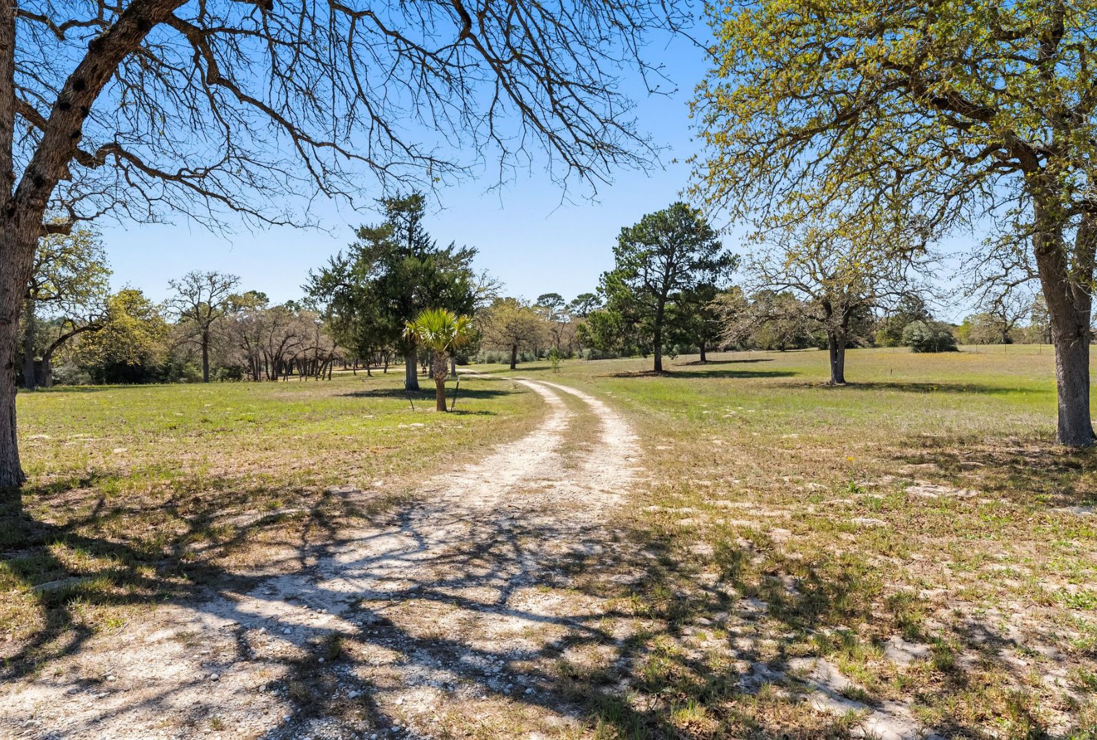 490 John Craft Road Red Rock, TX 78662 - Photo 25 of 40
