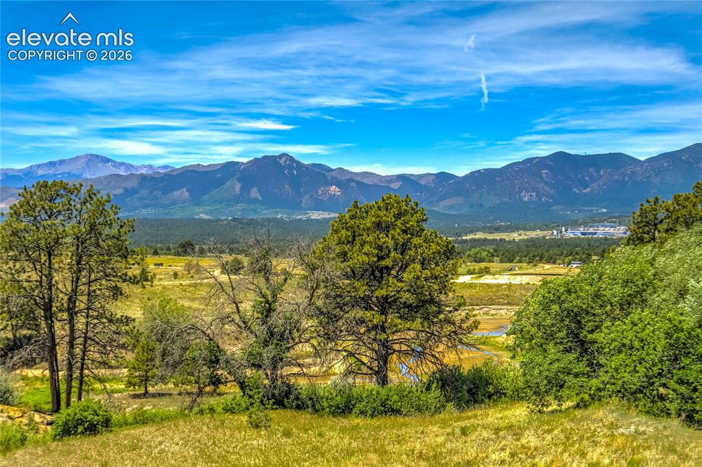 1011 Charismatic Way Colorado Springs, CO 80921 - Photo 39 of 50