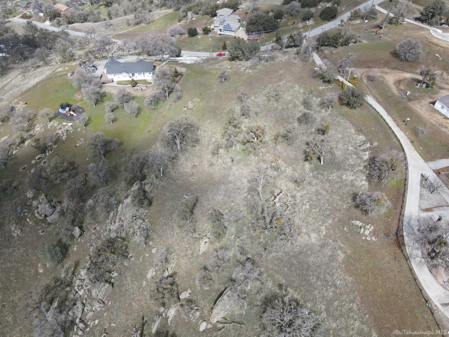 Jacks Hill Road Tehachapi, CA 93561 - Photo 6 of 12 a view of a forest with a lake view