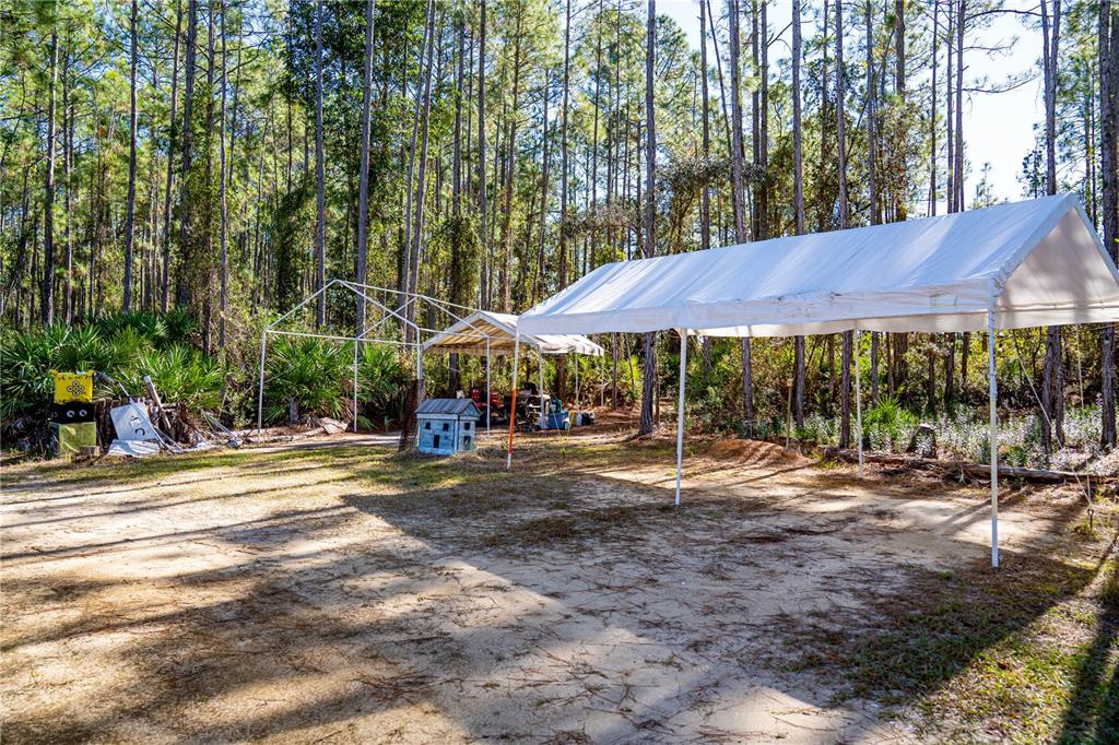 132 Nutmeg Trail Interlachen, FL 32148 - Photo 57 of 100
