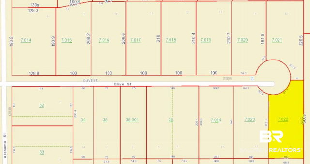 25220 Olive Street Elberta, AL 36530 - Photo 9 of 13 BC Parcel View