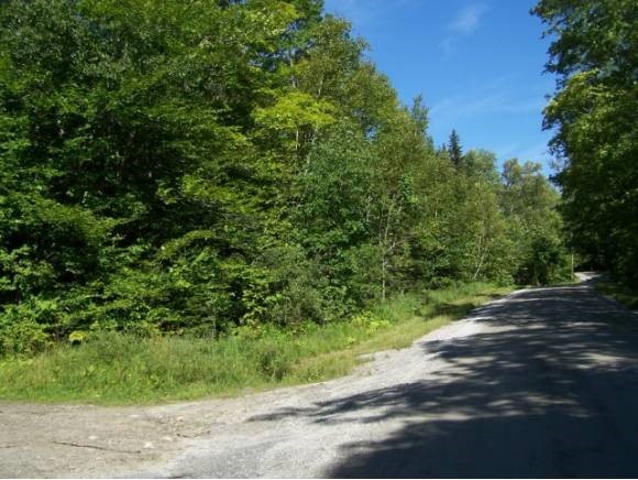 0 Macks Mountain Road Marshfield, VT 05658 - Photo 1 of 1