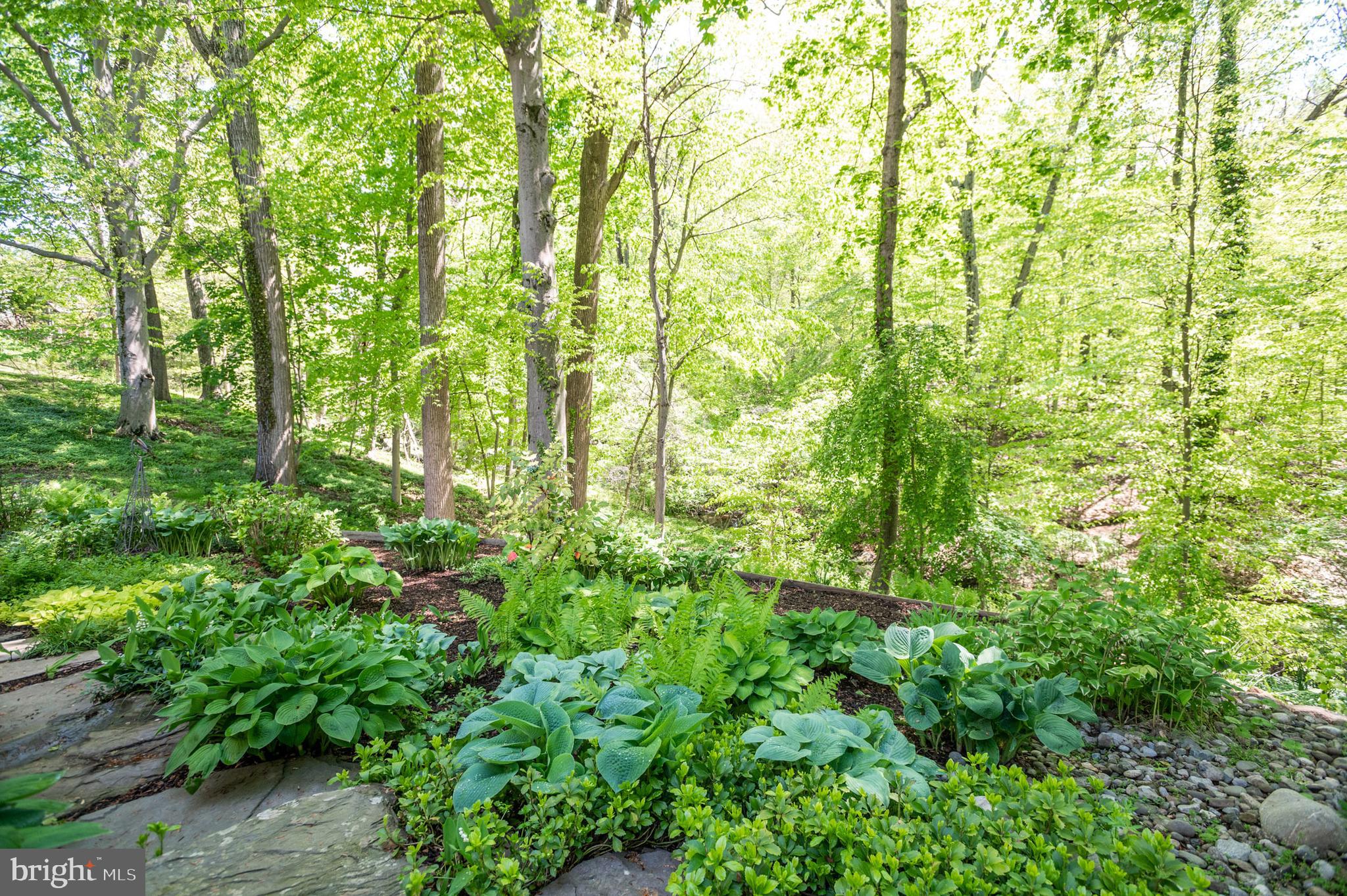 7707 Rider Hill Road Towson, MD 21204 - Photo 17 of 70 Gallery Image 17
