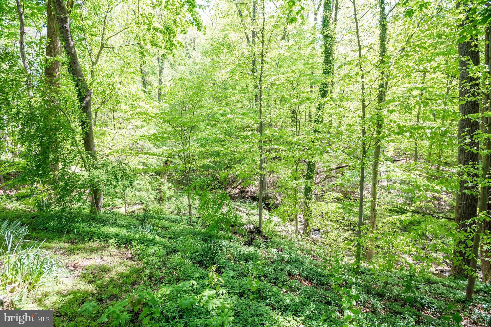 7707 Rider Hill Road Towson, MD 21204 - Photo 19 of 70 Gallery Image 19