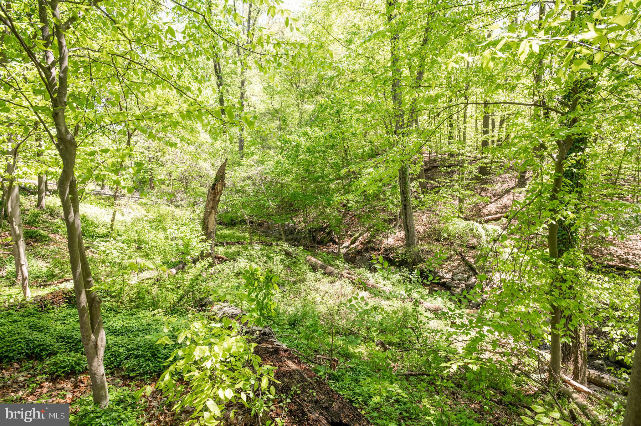 7707 Rider Hill Road Towson, MD 21204 - Photo 21 of 70 Gallery Image 21