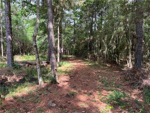 76081 Green Valley Road Folsom, LA 70437 - Photo 6 of 10