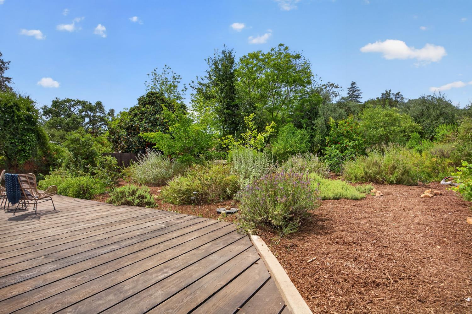 909 Daly Road Ojai, CA 93023 - Photo 44 of 46