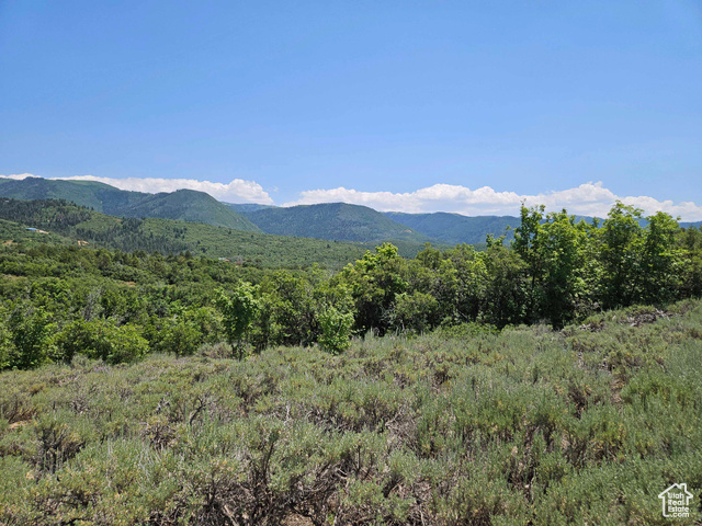 View of mountain background featuring a heavily wooded area