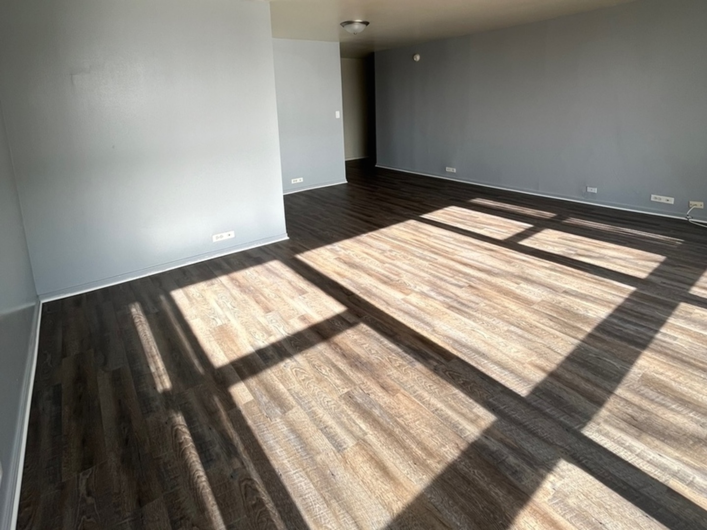 2605 South Indiana Avenue, Unit 301 Chicago, IL 60616 - Photo 3 of 23 a view of a wooden floor