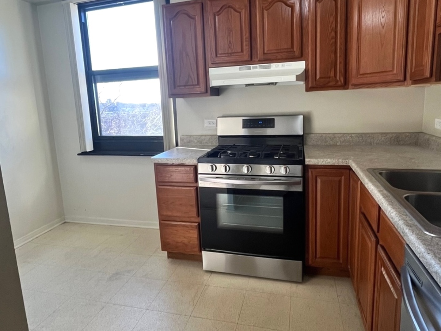 2605 South Indiana Avenue, Unit 301 Chicago, IL 60616 - Photo 6 of 23 a kitchen with stainless steel appliances granite countertop a stove a microwave and a sink