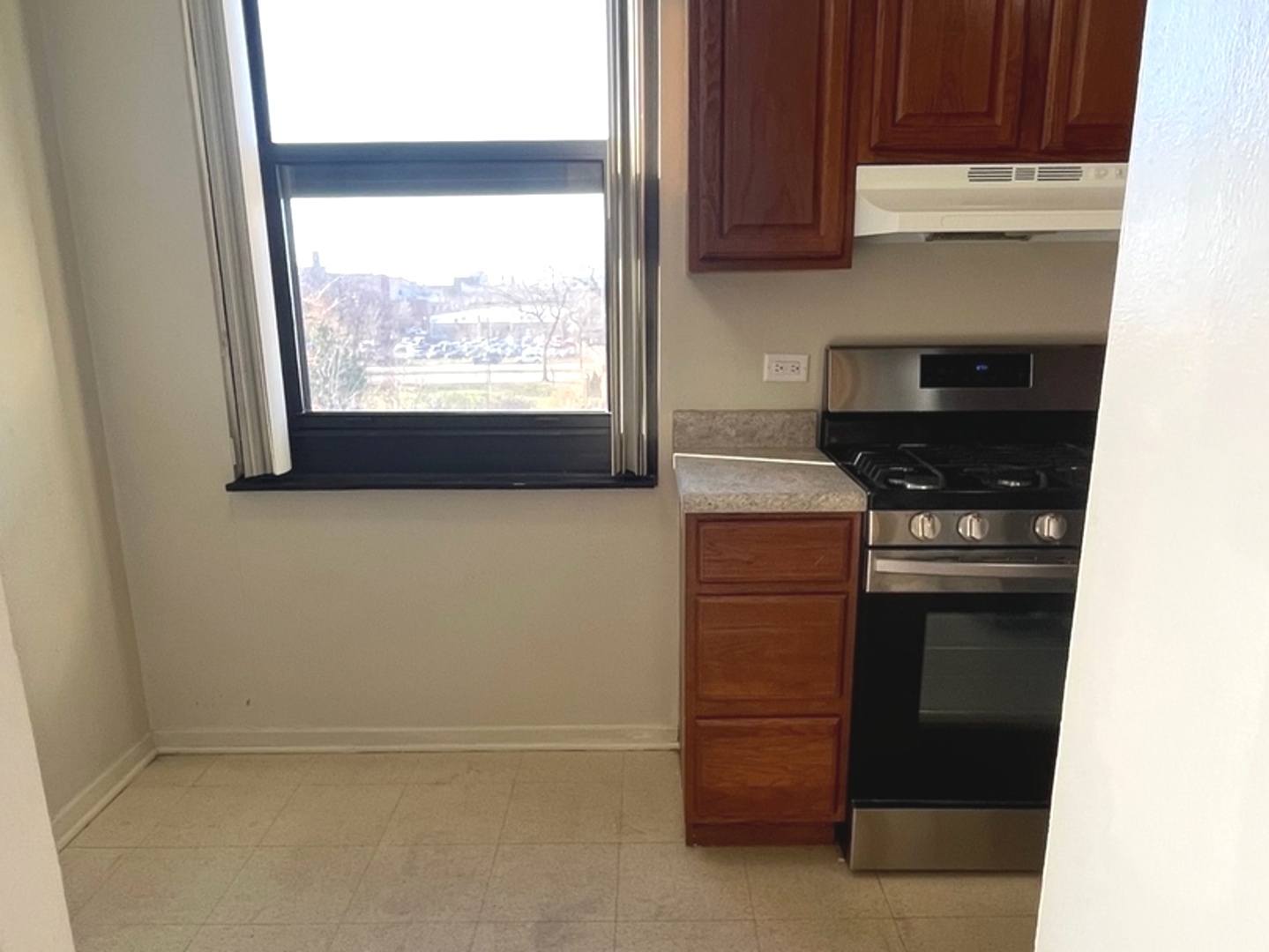 2605 South Indiana Avenue, Unit 301 Chicago, IL 60616 - Photo 7 of 23 a kitchen with stainless steel appliances granite countertop a stove and a microwave