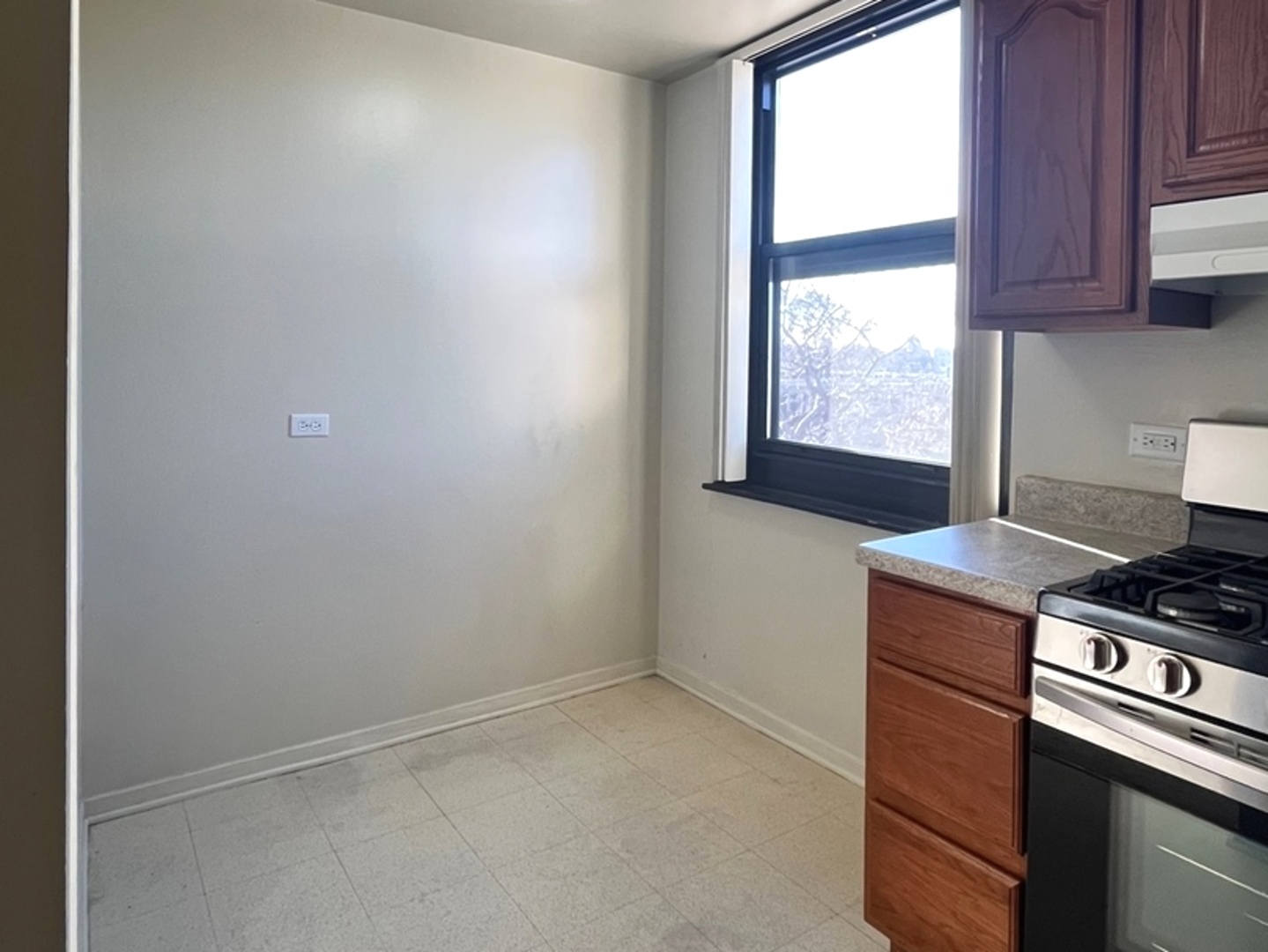 2605 South Indiana Avenue, Unit 301 Chicago, IL 60616 - Photo 8 of 23 a kitchen with a stove and a window
