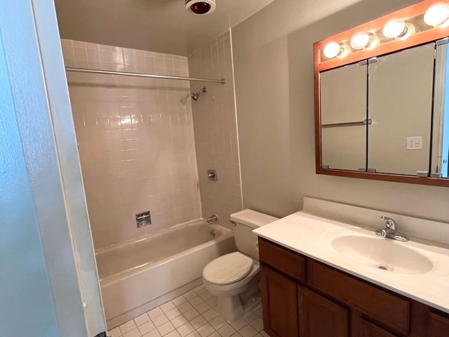 2605 South Indiana Avenue, Unit 301 Chicago, IL 60616 - Photo 9 of 23 a bathroom with a sink a toilet and shower