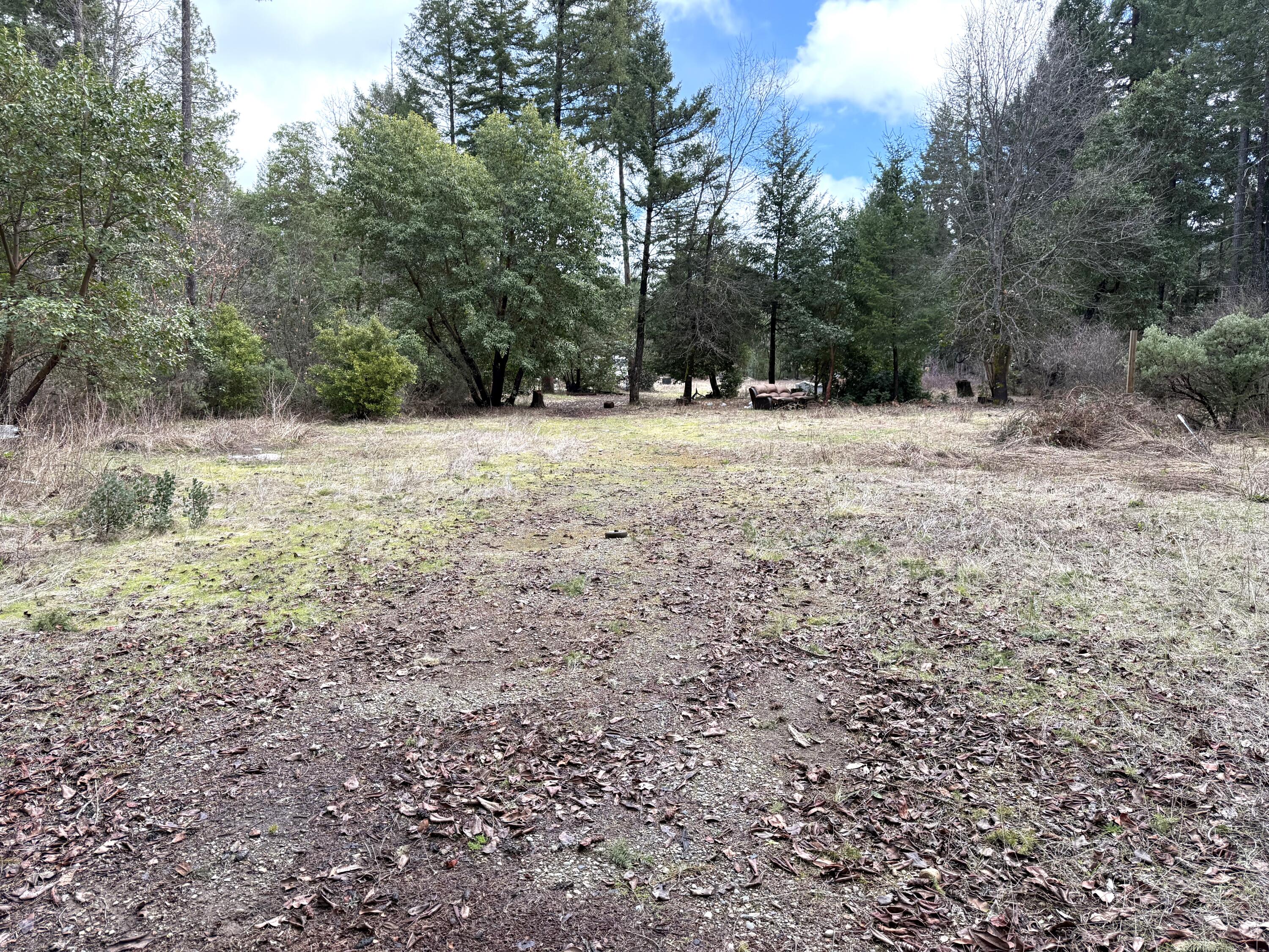 3779 Dick George Road Cave Junction, OR 97523 - Photo 5 of 8 part meadow thru central part